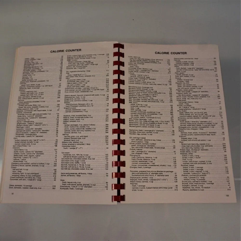 Vintage 1995 PTA Cookbook Jarrettsville Elementary School The Best Is Possible